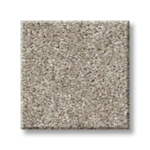 Cape Canaveral Tweed Fossil  00121