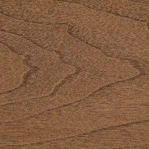 Exterior Door Stain Acorn