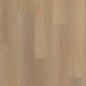 Shaw Endura Vinyl Plank 07087 Castaway