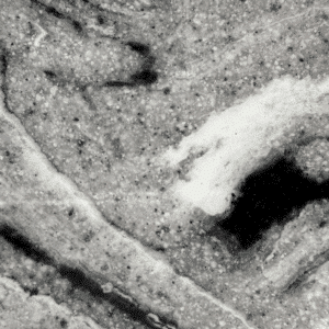 Kerrico Cultured Marble Vanity Tops White/Black/Pewter