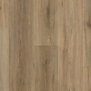 Shaw Endura Vinyl Plank 07089 Wild Dunes