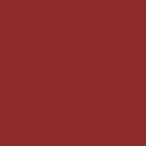 Complements Paint- Currant